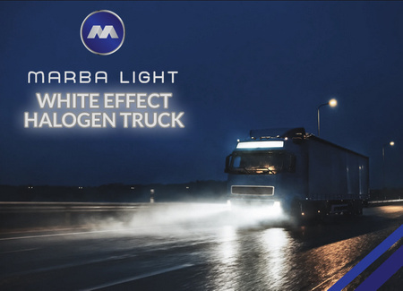 ŻARÓWKI MARBA LIGHT WHITE EFFECT H1 70W 24V